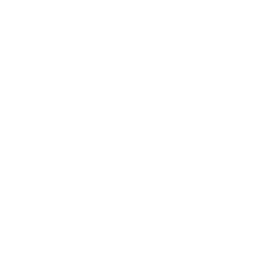 Halftone Dots